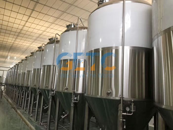 Vertical Fermentation Tank